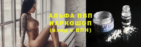 тгк Абаза