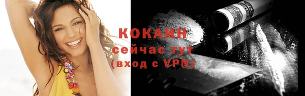 тгк Абаза